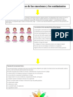 Actividad 1 Emociones y Sentimientos+