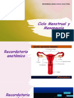 Ciclo Menstrual 22-23 SV-CC-SBP