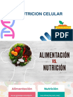 Sistema Digestivo y Nutricion