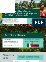 Derechos Ambientales Que Afectan A Poblaciones Indígenas en México y Venezuela