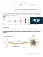 Actividad N°3 - La Neurona