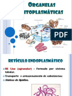 AULA Organelas Citoplasmáticas