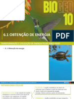 PPT22 - Obtenção de Energia