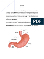 SOI IV - APG S01P02 - Gastrite