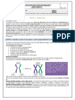 Guía 5. Meiosis 2022