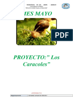 Mes Mayo Caracol