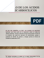 Ciclo de Los Ácidos Tricarbocilicos