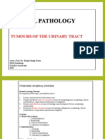 Renal Cell Carcinoma