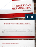 Bioenergetica y Metabolismo