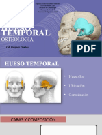 Hueso Temporal