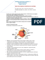 Formação Anatômica Dos Órgãos e Sentidos Do Sistema Sensorial