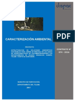 Caracterización Ambiental Purificación T.