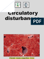 Lab7 Circulatory Disturbances