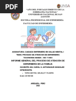 Proceso de Atencion en Enfermería en Salud Mental