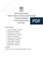 Group 4 Anatomy Assignment Submission