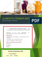 Resumen Alimentos Fermentados