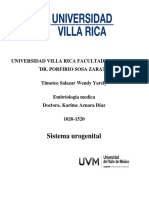 Cap. 13. Sistema Urogenital