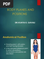 Anatomical Positions