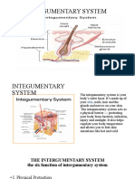 Intergumentary System 10