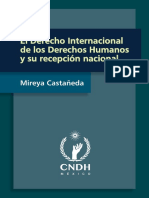 Introducción Al Derecho Internacional de Los Derechos Humanos