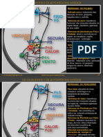 Os 60 Pontos Shu, Seus Meridianos e Sintomas