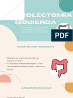 Hemicolectomia Izquierda B