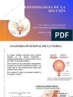 NEUROFISIOLOGIA DE LA MICCIÓN (1) (1) (Autoguardado)