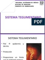 Embriología Del Sistema Tegumentario