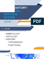 Peripheral Nervous System 