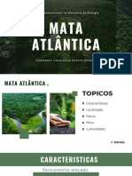 Mata Atlântica