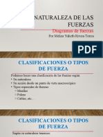 Naturaleza de Las Fuerzas y Diagramas de Fuerzas