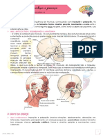 Semiologia Da Cabeça e Pescoço