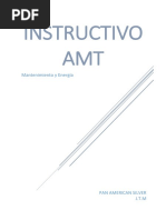 Instructivo AMT