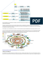 Eras Geológicas