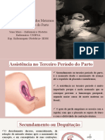 Procedimentos e Cuidados Maternos No 3 Periodo