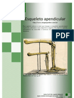 Esqueleto-Apendicular Com Imagens para Fixaçao