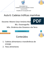 Aula 6 - Oceanografia Biologica - Cadeias Troficas Marinhas