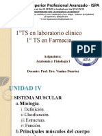 Sistema Muscular