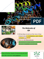 Chapter 5-Macromolecules Part I