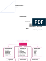 Organizador Gráfico