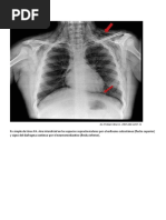 RADIOLOGIA