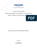 Relatório Sobre Hidrocarbonetos 27 05 2023