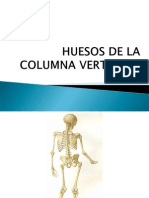 5 Huesos de La Columna Vertebral