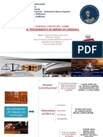 Esquema Sobre El Procedimiento de Amparo en Venezuela