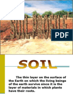 Soil Profile