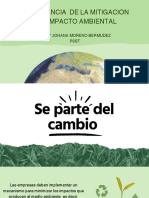 Importancia de La Mitigación Del Impacto Ambiental en Las Empresas