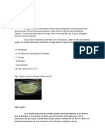 Preparacion de Medios de Cultivo