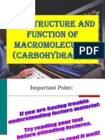 Carbohydrates For UG