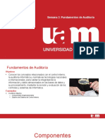 Semana 3. Fundamentos de Auditoria