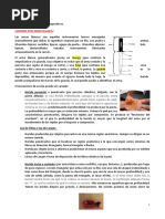 Lesiones Por Arma Blanca: FORENSE 01/03/22